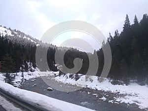 The river on a snowy day