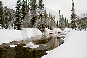 A river in a snowy forest.
