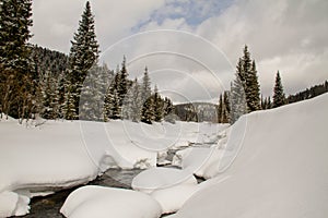 A river in a snowy forest.