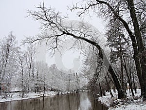 River and snowy trees, Lithuania