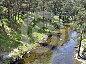 River of Soria