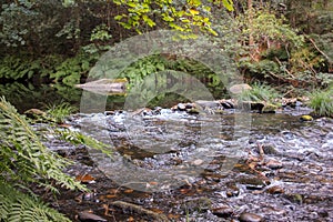 river in Souto da Retorta