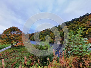 River Spey Autumn Scotland