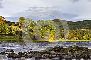 The river Spey at Craigellachie.