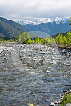 River in spring season