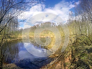 The river in the spring wood