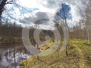 The river in the spring wood