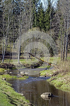 River in springtime