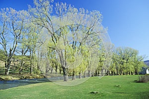 River in Springtime, Williamstown, Massachusetts
