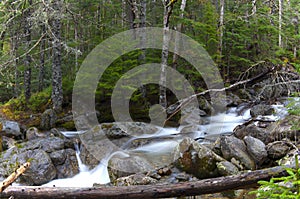 River Sream Mount Washinton area via Ammonoosuc ravine trail