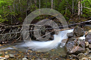 River Sream Mount Washinton area via Ammonoosuc ravine trail