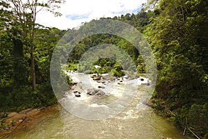 River in Sri Lanka Rainforest