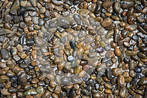 River Stone on Background