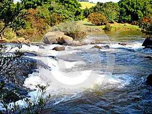 River with stones and flowing water. Fresh water and green vegetation