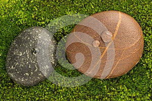 The River Stones spa treatment scene with raindrop on moss background zen like concepts.
