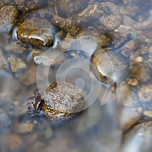 River stones under water