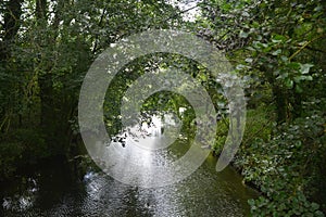 The river Stour in the centre of Canterbury, England