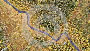 The river stream in the autumn forest. Beautiful colorul trees. Top down view.