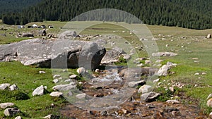 River stream and green mountains covered forest on blue sky background