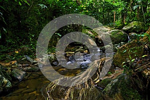 A river stream in Hutan Lipur Ulu Jeransang, Pahang, Malaysia