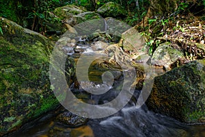 A river stream in Hutan Lipur Ulu Jeransang, Pahang, Malaysia