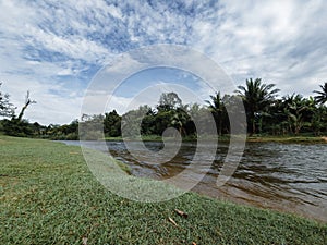 River stream near the rainforest jungle in Malaysia