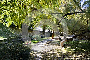 River-stream passing through Parque del Oeste, Madrid park with some autumn colors on a clear day in Madrid, Spain. photo