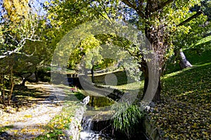 River-stream passing through Parque del Oeste, Madrid park with some autumn colors on a clear day in Madrid, Spain. photo