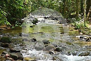 River stream running along the countryside creek in the national park rainforest landscape, Phang Nga, Thailand