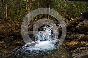 River and stream, smoky mountains, usa