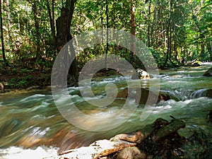 River stream at Sungai Congkak, Selangor, Malaysia.