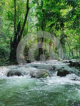 River stream at Sungai Congkak, Selangor, Malaysia.