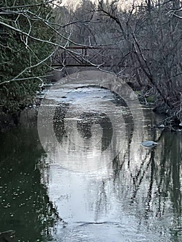 River stream during twilight