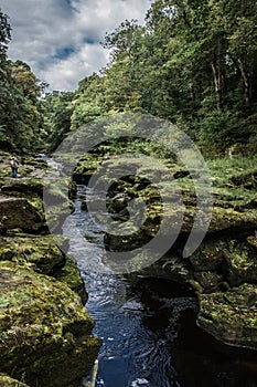 River strid near Bolton Abbey in yorkshire, England