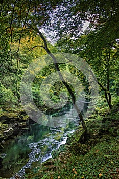 River strid near Bolton Abbey in yorkshire, England