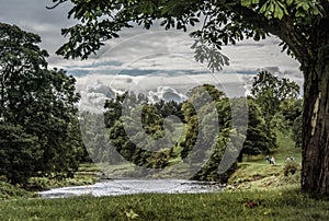 River strid near Bolton Abbey in yorkshire, England