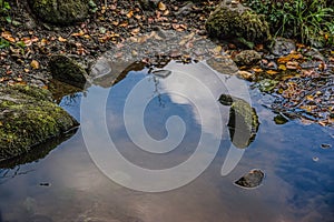 River strid near Bolton Abbey in yorkshire, England