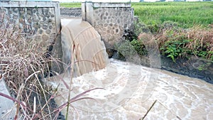 The river is subdued as a rice field irrigation