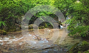 River in summer canyon