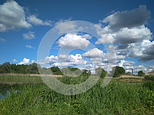 River in summer, dense thickets of grass, blue sky and clouds