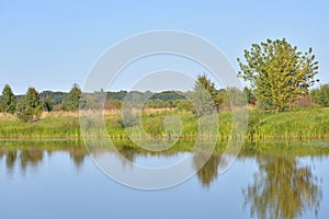 River at sunny day