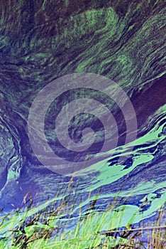 Patterns of pollen on water