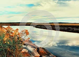 River swampy terrain straits from the ocean. autumn landscape. Twilight, long exposure. Cloud movement. USA. Maine.