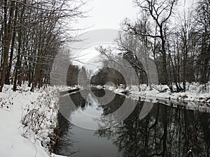 River Sysa and snowy trees, Lithuania