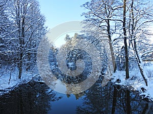 River Sysa and snowy trees in winter, Lithuania