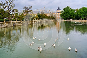 River Tagus as it passes through the royal palace of Aranjuez with white ducks in the water