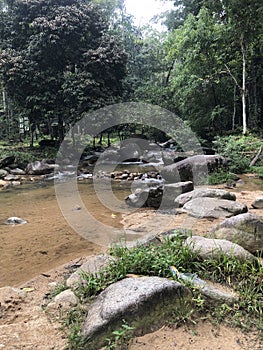 River at Taman Negara Endau Rompin Selai hiking area