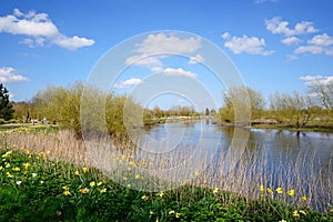 The River Tame at the National Memorial Arboretum, Alrewas.