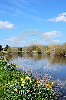 River Tame during the Springtime, Alrewas.