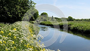 The River Tame In Springtime, Sandwell Valley